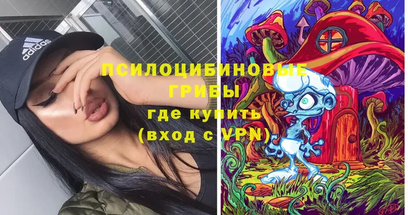 Галлюциногенные грибы Cubensis  Воткинск 