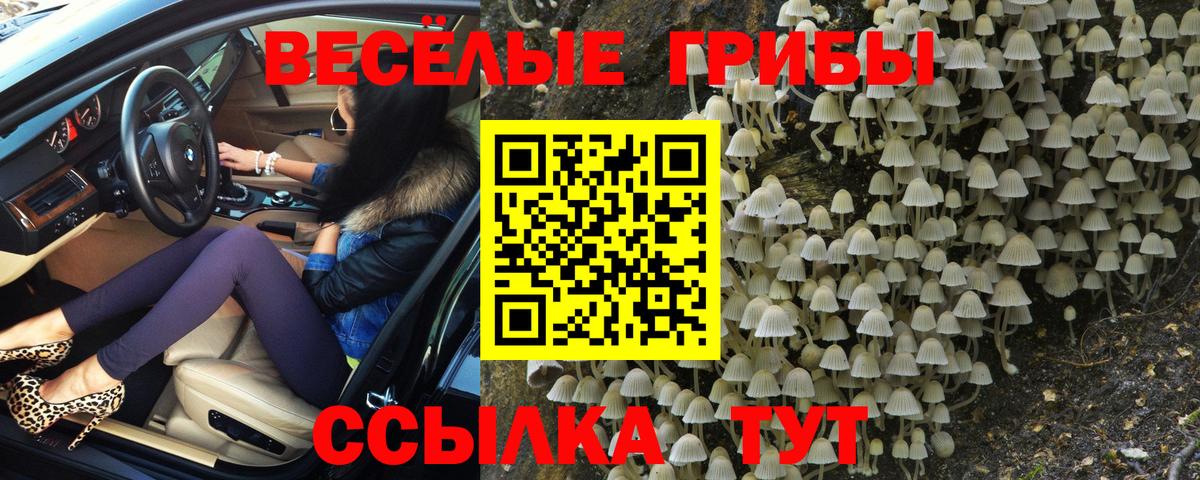 Псилоцибиновые грибы GOLDEN TEACHER  Вход с VPN  Воткинск 