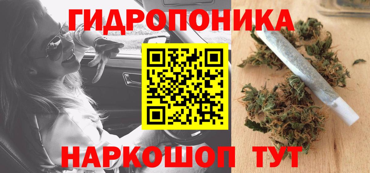Каннабис планчик  Конопля OG Kush  Канабис гибрид  Воткинск 